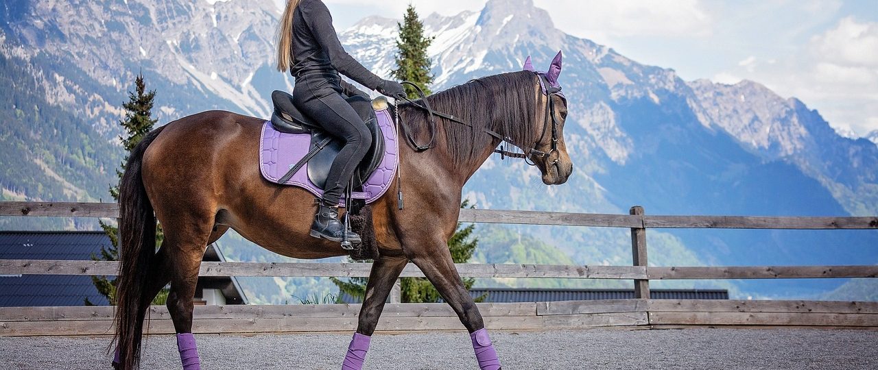 Les vêtements d'équitation