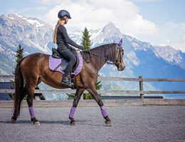 Les vêtements d'équitation