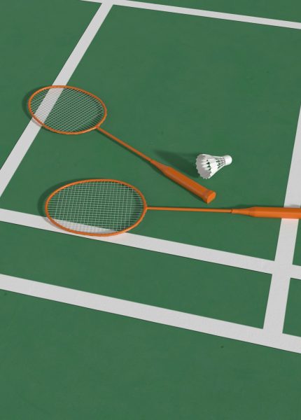 Matériel de badminton