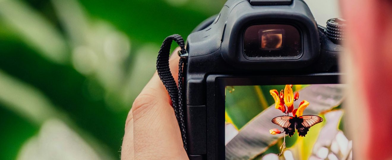 La photographie pour les débutants