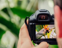 La photographie pour les débutants