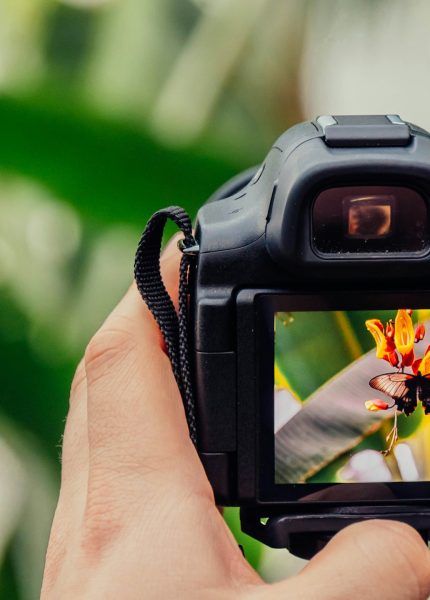 La photographie pour les débutants