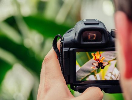 La photographie pour les débutants