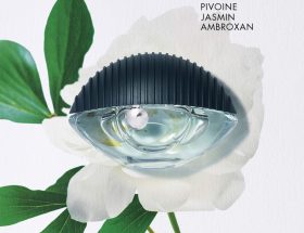 Parfum posé dans une ambiance claire et légère