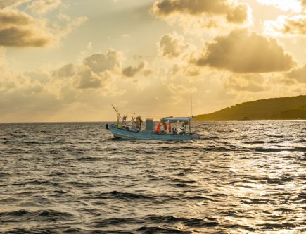 Slow jigging en voyage : guide complet destinations exotiques