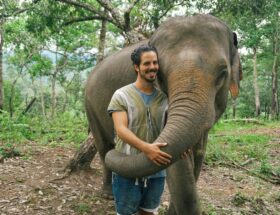 A man standing next to an elephant in a forest